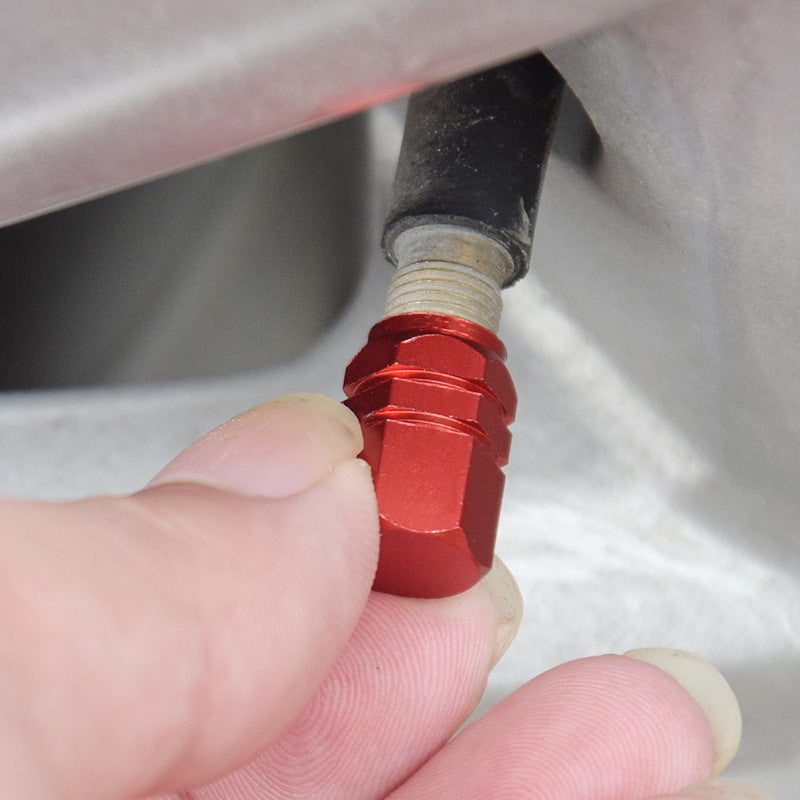 Car valve cap eprolo