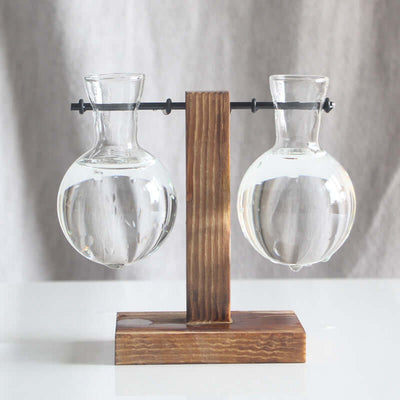 Transparent Bulb Vase with Wood Stand. For hydroponics. Great for coffee shops & room decor. eprolo