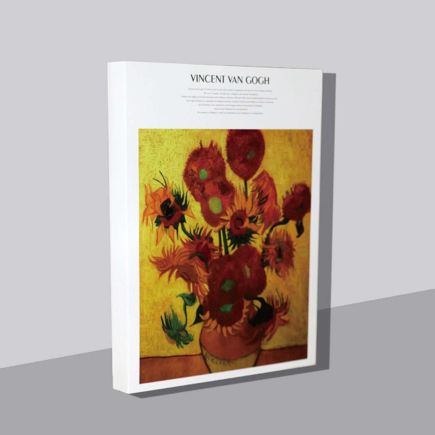 Painting Graffiti Book Blank Paper Sketch Book Fine Art Color Lead Watercolor Book eprolo