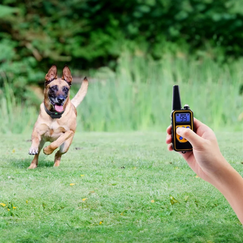 Dog training supplies - bark control device. The collar features electric shock and vibration for training. eprolo