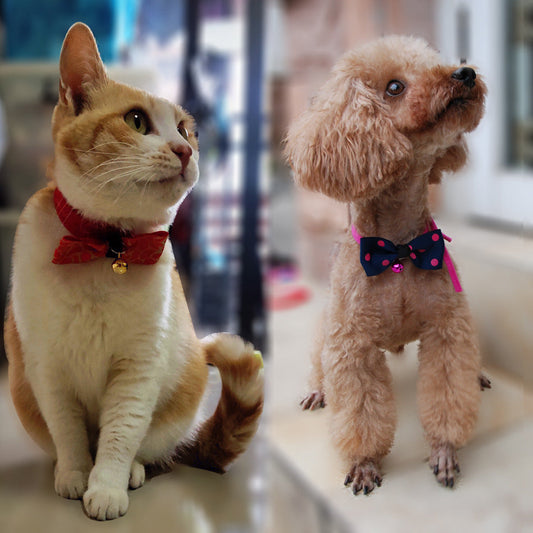 Pet accessories pet bow eprolo