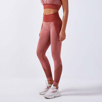 Carry buttock shark knitted seamless hollow out vest fitness eprolo