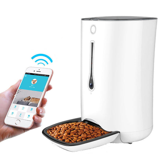 Timed pet video automatic feeder eprolo