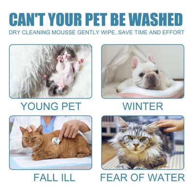 Pet Dry Cleaning Mousse Body Wash For Young Cats And Dogs Wash Free To Remove Odor And Smooth Hair Cleaning eprolo