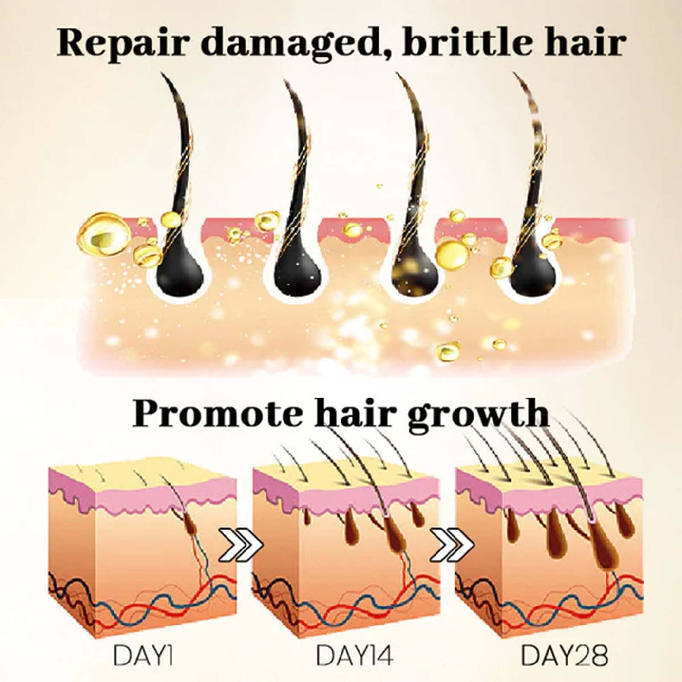 Ginseng Massage Essence, Moisturizes Scalp Strengthens Hair Prevents Loss Hair Care Essence eprolo