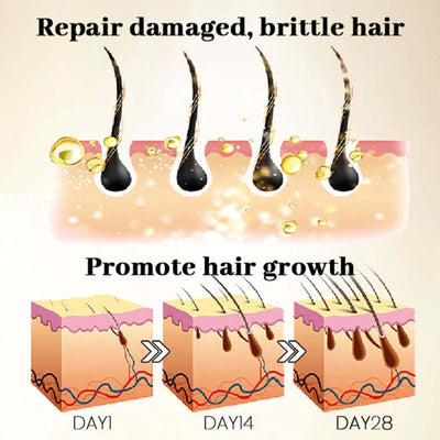 Ginseng Massage Essence, Moisturizes Scalp Strengthens Hair Prevents Loss Hair Care Essence eprolo