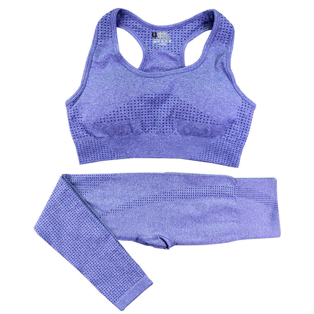 2PCS Seamless Yoga Set Women Tracksuit High Waist Leggings Workout Sportswear Gym Clothing Fitness Crop Top Sports Suits Gym Set eprolo